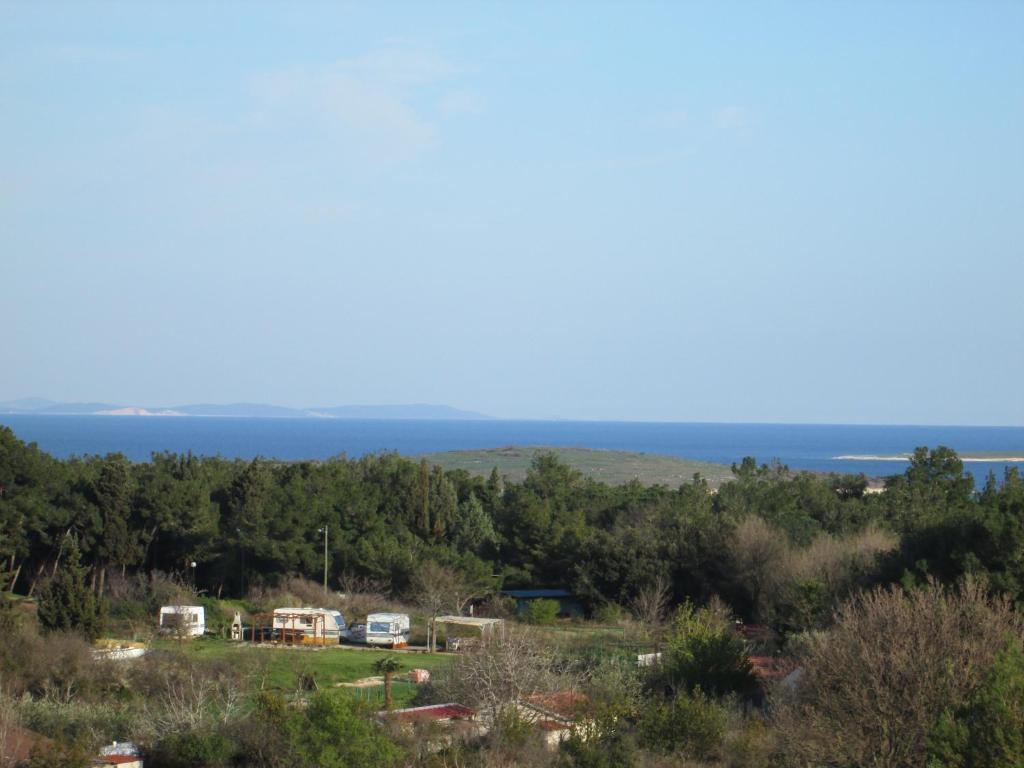 Apartments Villa Fernetich Premantura Buitenkant foto